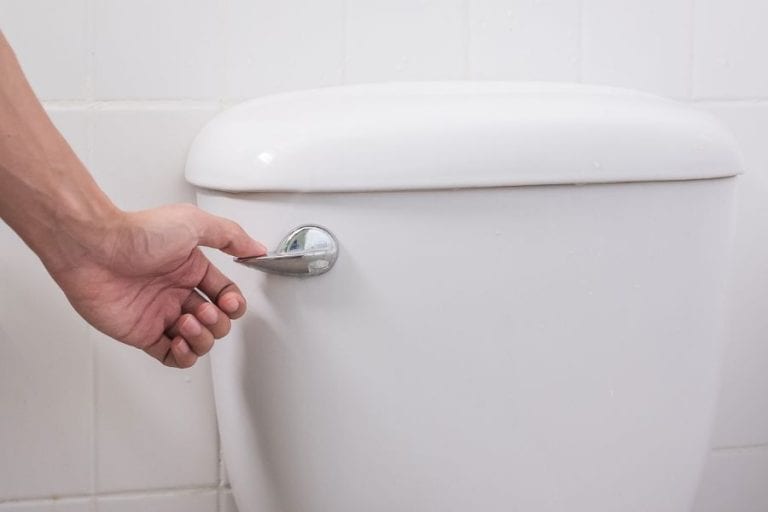 Flushing Toilet
