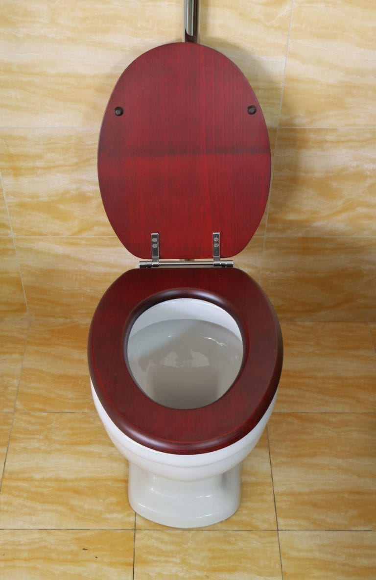 Toilet Seats Wood vs Plastic (5 Factors You Should Consider