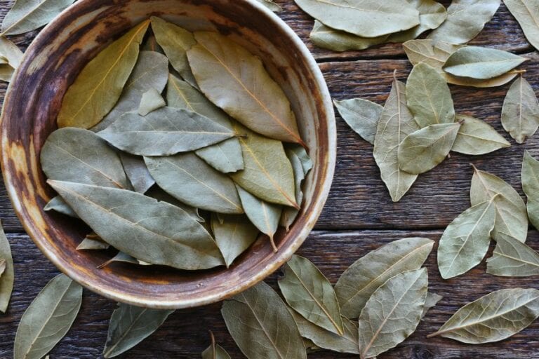 Dried Bay Leaves