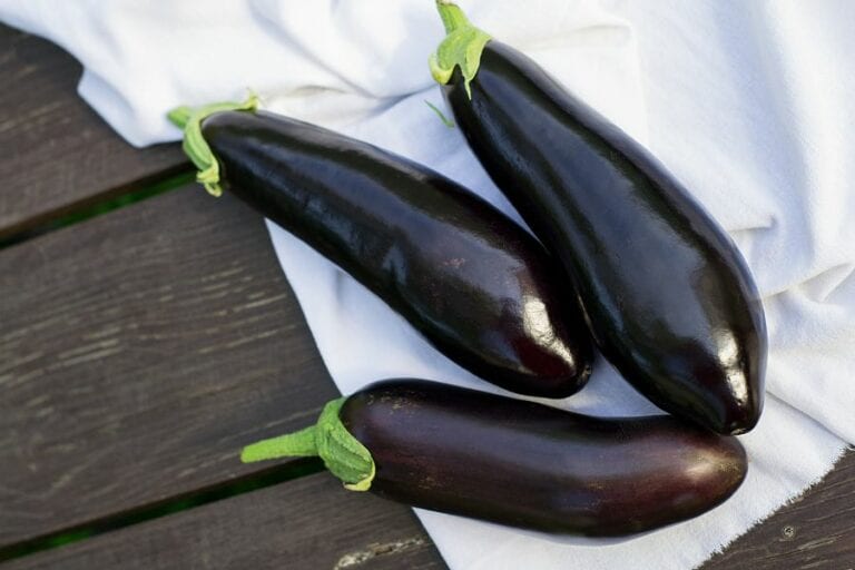 Eggplant