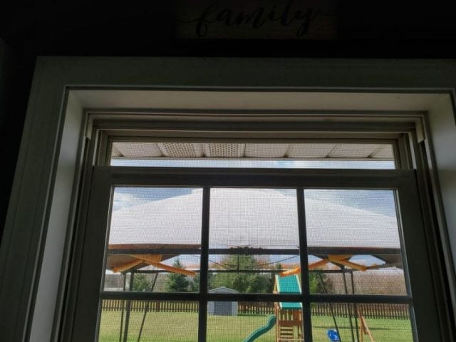 10 Ways to Keep Fruit Flies Away from Bananas (And Fruit in General