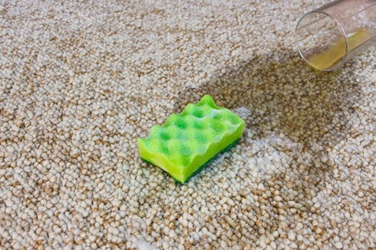 Spilled tea on carpet