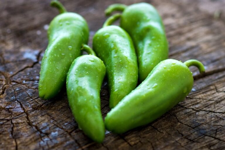 Jalapeno Peppers