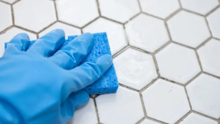 Here&rsquo;s How to Lighten That Grout That Is Too Dark