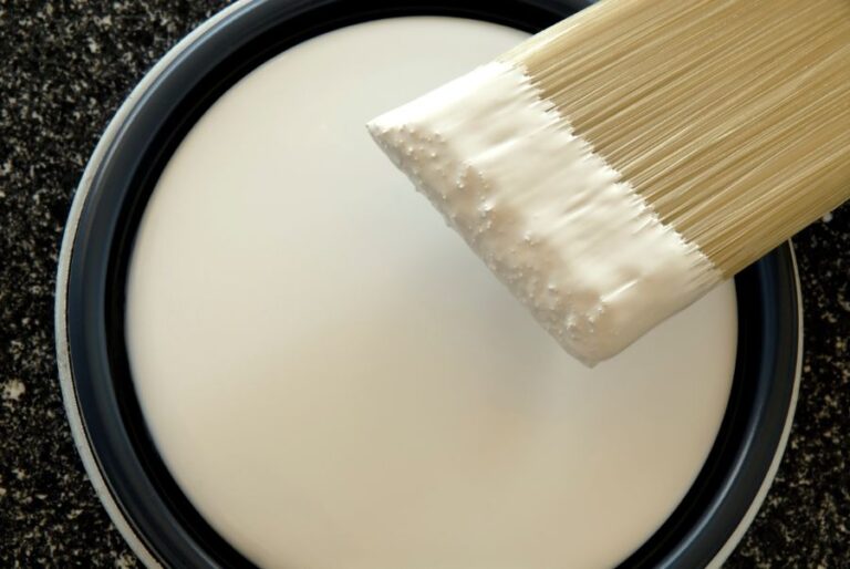Paint Brush Dipped in White Paint