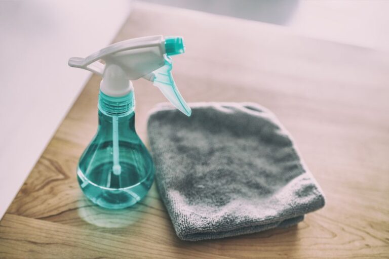 Spray Bottle and Rag on Counter