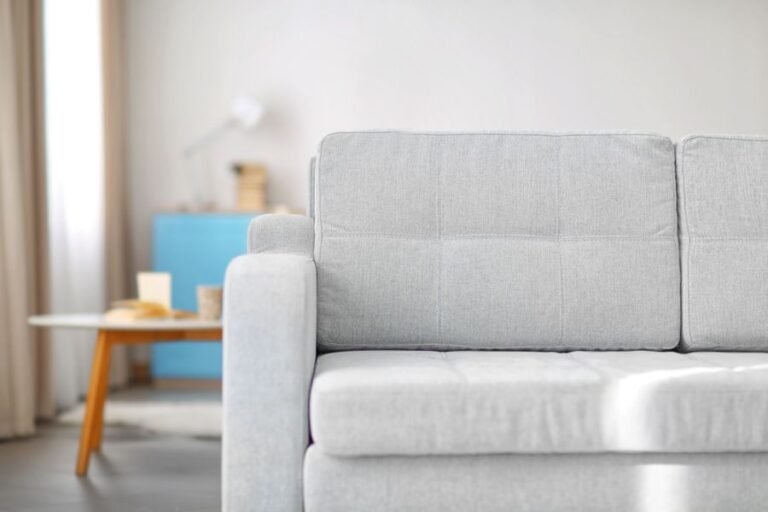 Light Gray Cloth Couch in Modern Interior