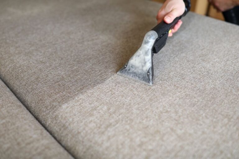 Closeup of Couch Cushions Being Cleaned With a Carpet Cleaner