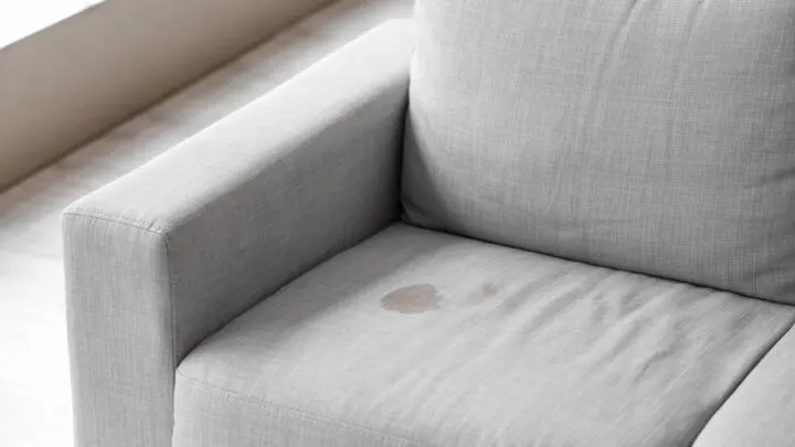 How to Get the Vomit Smell Out of a Couch (11 Easy Tips)