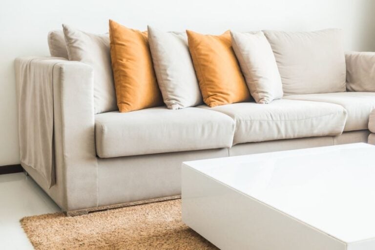Throw Pillows and Throw on a New Couch