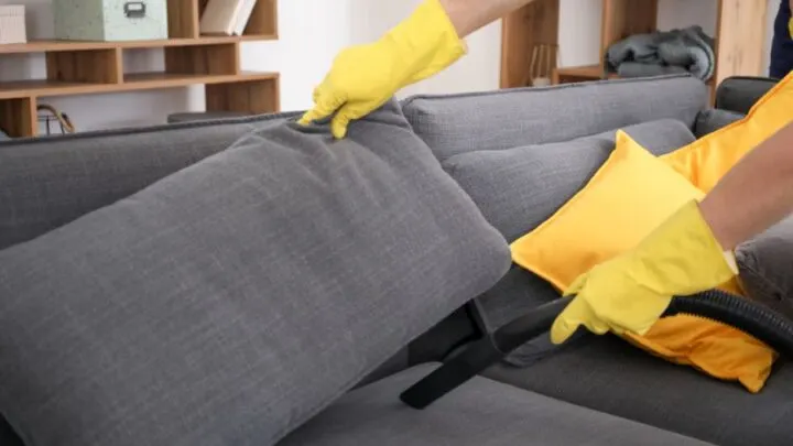 How to Get Rid of Dust Mites in Couch Fabric (10 Simple Tips)