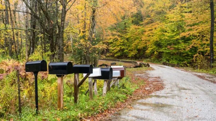 How to Waterproof a Mailbox That&rsquo;s Taking on Water