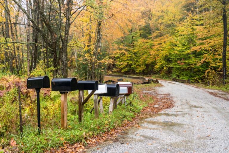 Row of Mailboxes on a Country Road