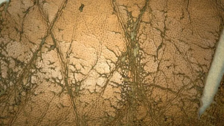 Simple Tips to Restore a Cracked Leather Couch