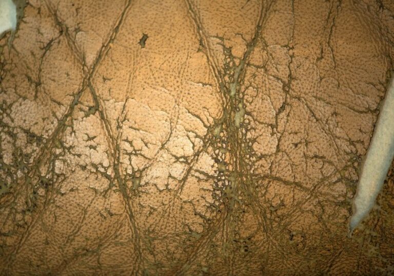Cracks on an Old Yellow Leather Sofa