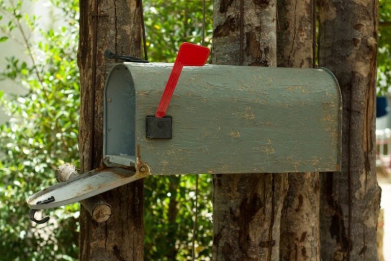 Gray Mailbox on Tree With Door Open
