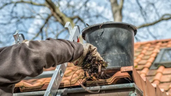 How to Use a Ladder Without Damaging Gutters (Is It Possible?)