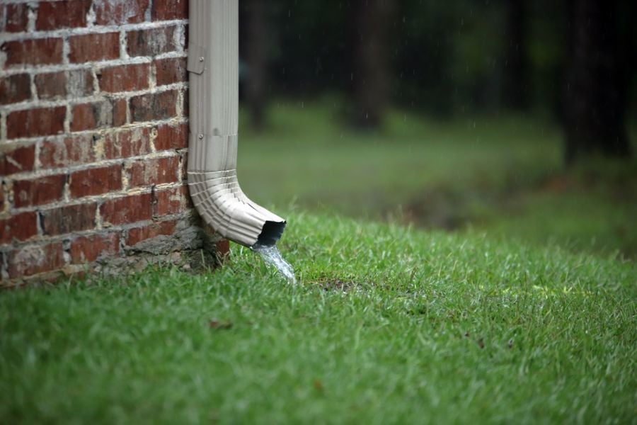 Water Flowing Out of a Downspout on to the Grass