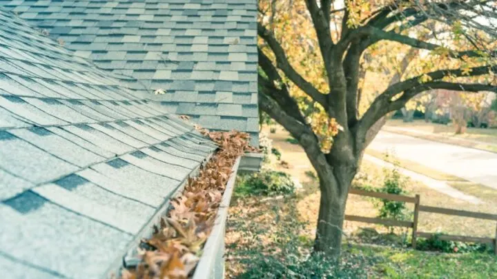 Simple Tips to Clean Your Gutters From the Ground