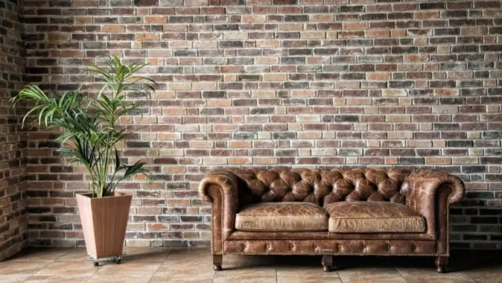 Can You Reupholster a Leather Couch?
