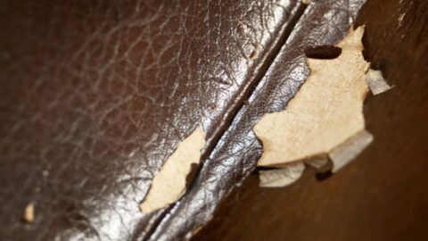 Why Is My Leather Sofa Peeling Finline Furniture