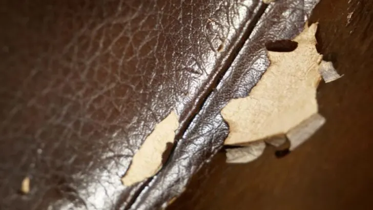 Why Is My Leather Couch Peeling? (3 Likely Causes)