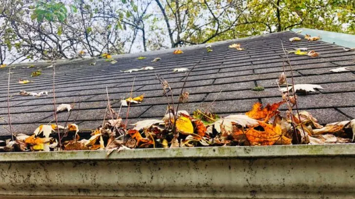 How to Clean Tiger Stripes on Aluminum Gutters  (Step By Step)