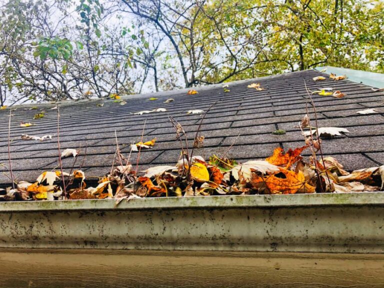 Leaves Clogging a Dirty Aluminum Gutter With Tiger Stripes