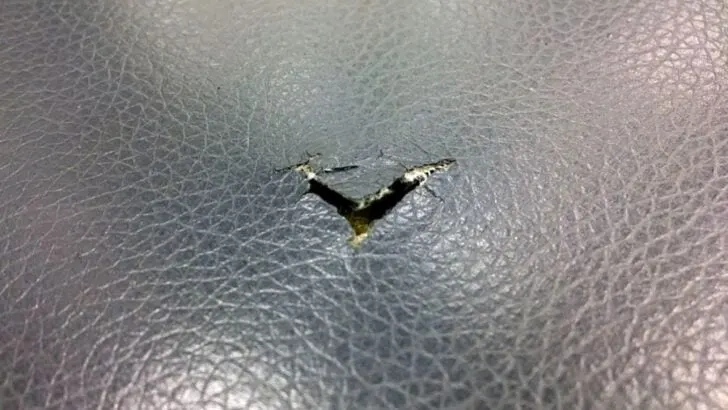 3 DIY Methods to Repair a Leather Couch Tear