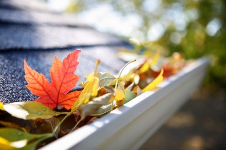 Rain Gutter Full of Fall Leaves