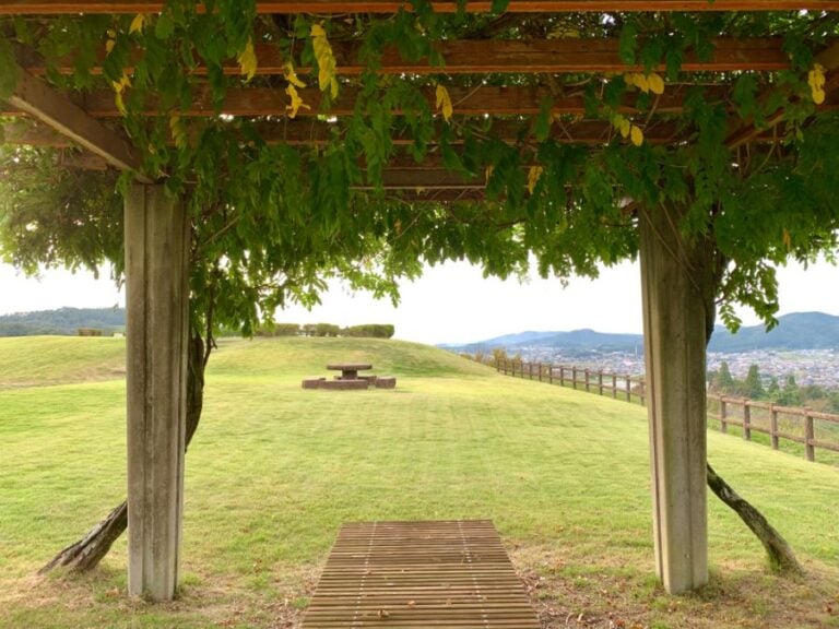 Pergola in the Grass in a Park