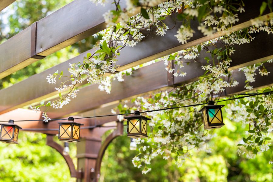 Backyard Pergola With Lights and Vining Flowers