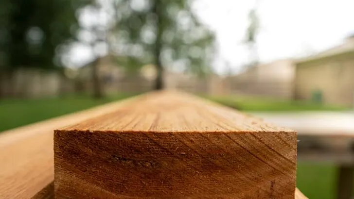 What Wood to Use for Building Your Pergola