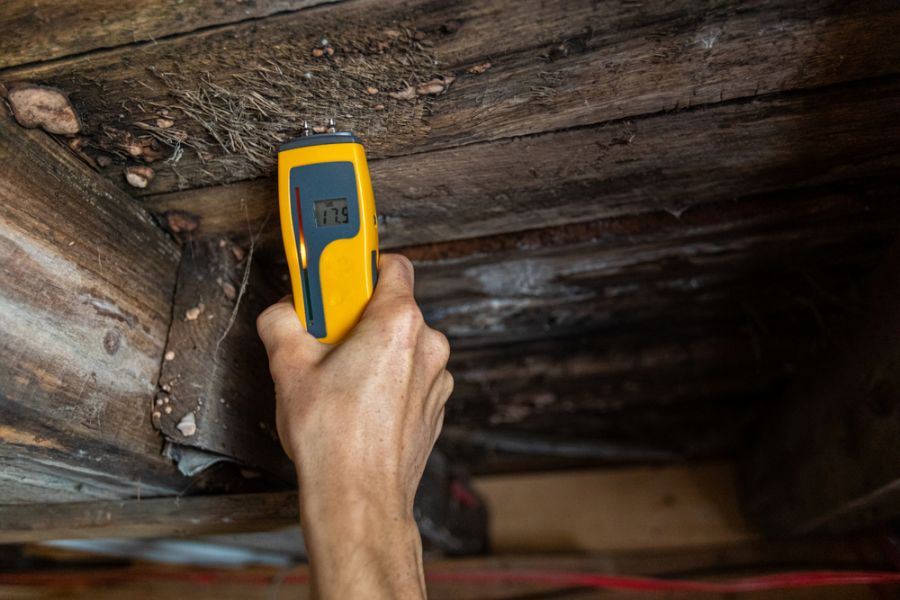 Measuring Moisture in the Wood in a Crawl Space Looking for Mold