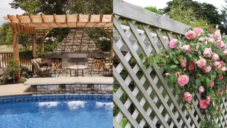 When to Choose a Pergola Over a Trellis (And Vice Versa)