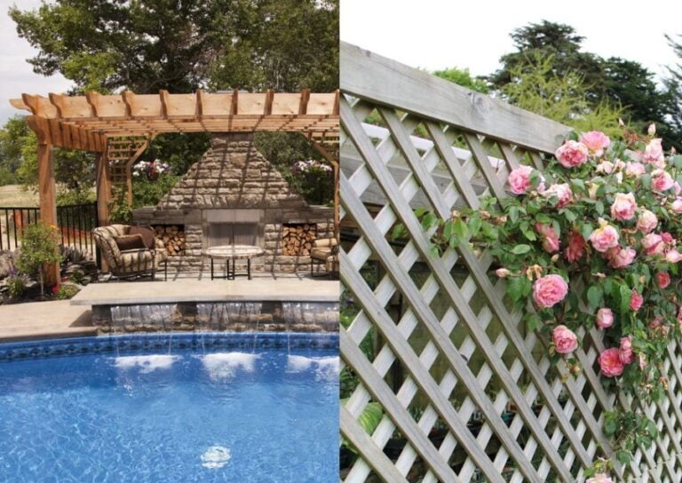Pergola vs Trellis