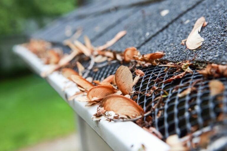 Plastic Guard Over Gutter Keeping Leaves and Seeds Out of the Gutter