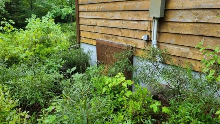 Do Crawl Spaces Have Windows? (2 Pros and 3 Cons of Adding Them)