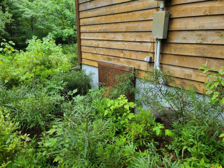 Wooden Crawl Space Door on an Old House