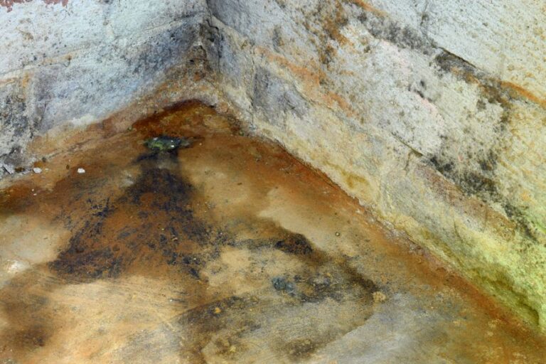 Water and Mold in the Corner of a Crawl Space