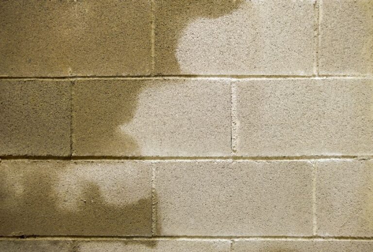 Water on the Cinder Block Wall of a Crawl Space