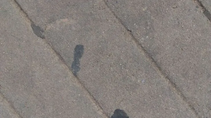 What Are the Black Spots on the Sidewalk? (A Sticky Issue)