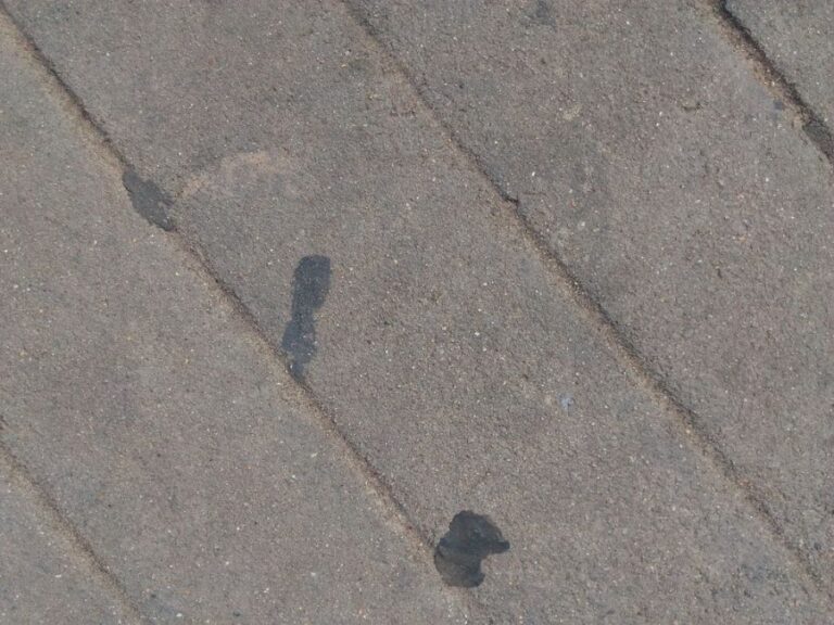Black Spots of Gum on a Sidewalk