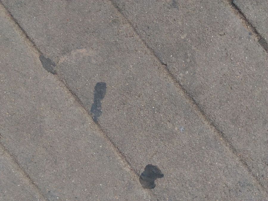 Black Spots of Gum on a Sidewalk