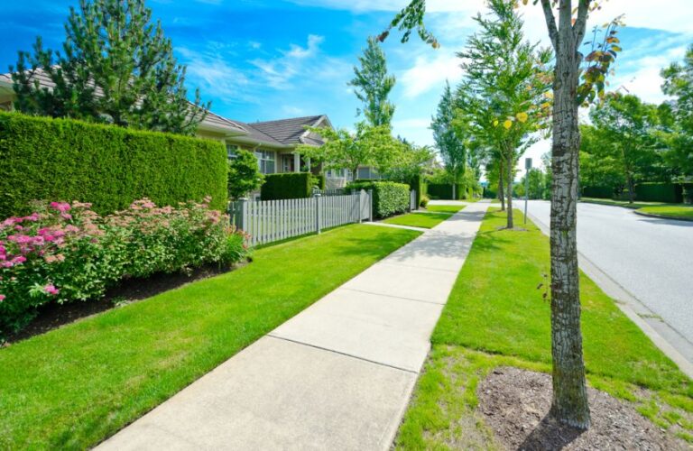 Sidewalk Next to a Quiet Residential Street