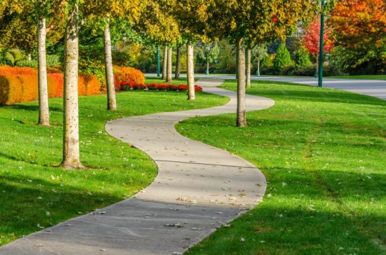 Winding Sidewalk on the Side of a Street