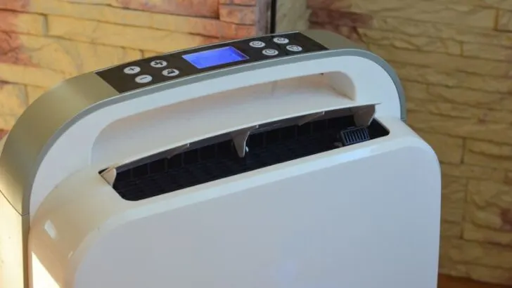 Can You Put a Dehumidifier in a Crawl Space? (And Should You?)