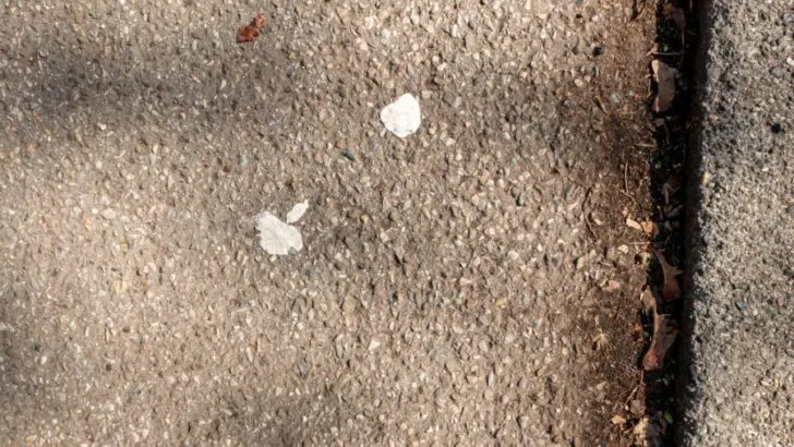 Why Does Gum Turn Black on the Sidewalk? (A Simple Explanation)