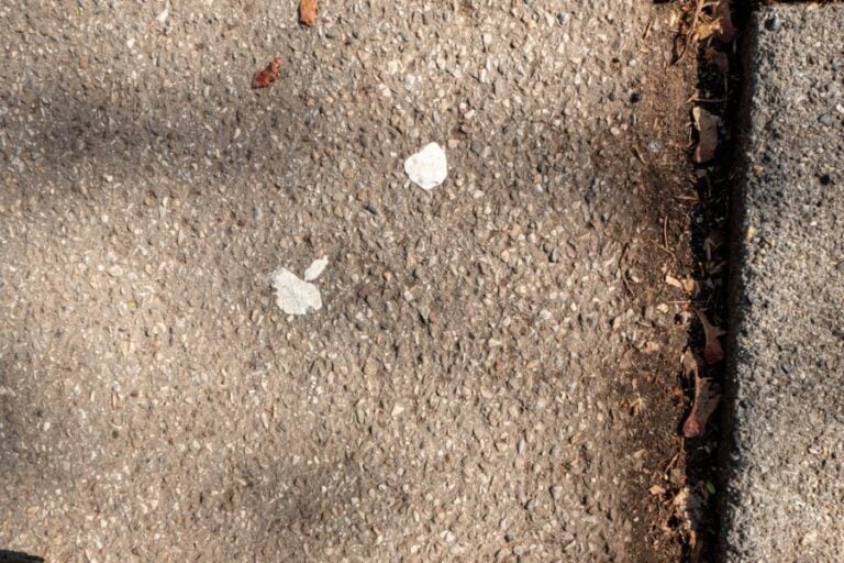 Chewing Gum on the Sidewalk
