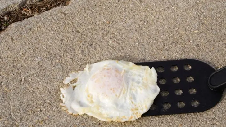 Can You Fry an Egg on the Sidewalk? (Here’s How to Do It Correctly)